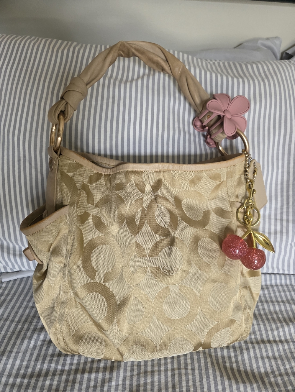 Coach Y2k Parker Hobo 13427